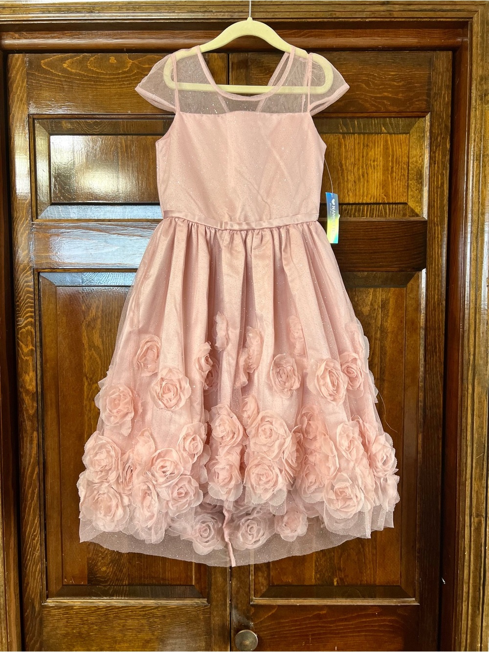 Nannette Pink Rose Applique Tulle Party Dress